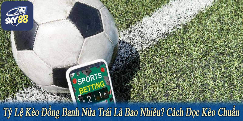 tỷ lệ kèo đồng banh nửa trái là bao nhiêu
